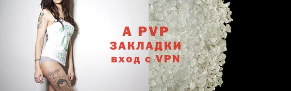 a pvp Алзамай