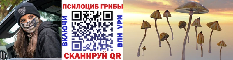 Галлюциногенные грибы мицелий  Микунь 